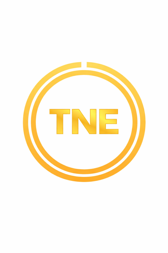 TNE Thiện Nhân Energy đèn chiếu sáng VIP